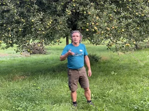 Hans Oppikofer bewirtschaftet eine 10 Hektaren grosse Mostobstanlage mit Ökowiese. (Bilder Katrin Erfurt)
