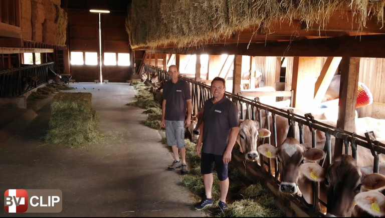Braunvieh Schweiz erweitert Social-Media-Auftritte