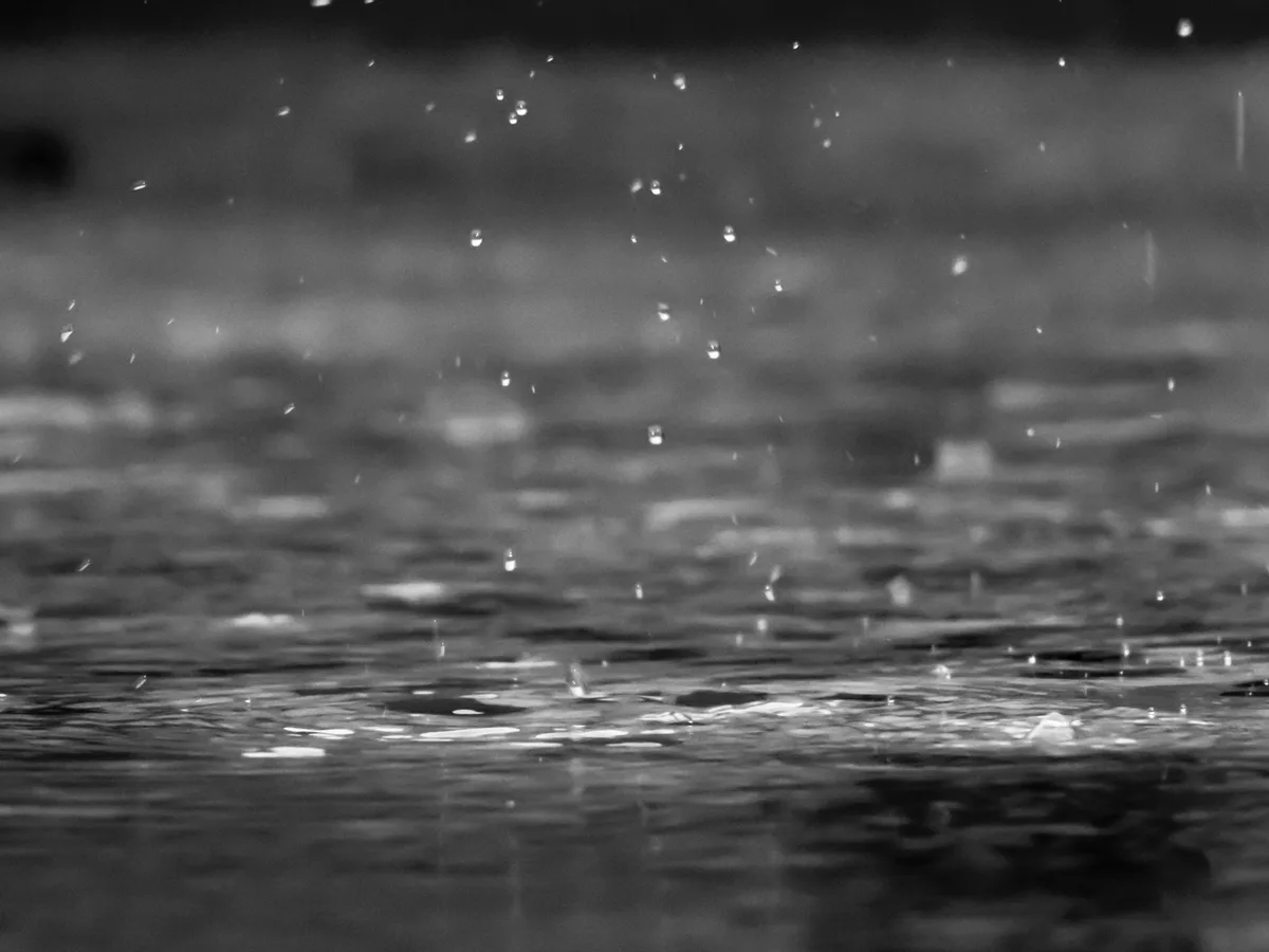 reza-shayestehpour-Nw_D8v79PM4-unsplash Dauerregen vorbei, jedoch weiterhin Hochwassergefahr
