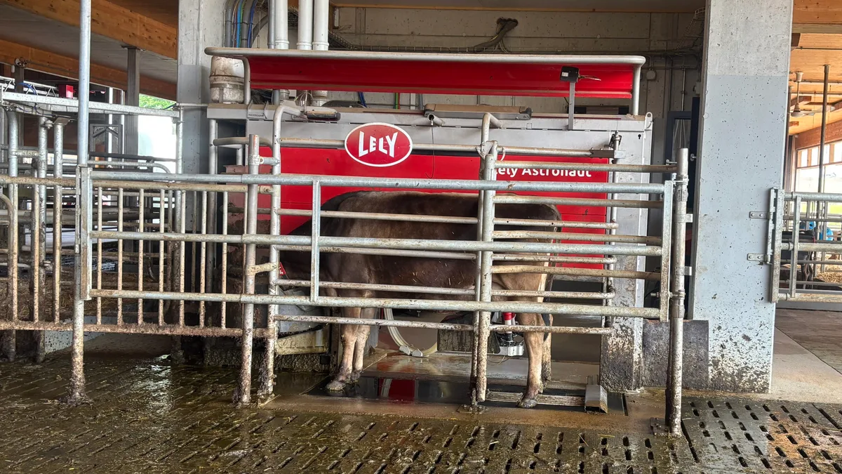 Lely-Melkroboter-2.jpg Ab November weiss der Lely-Roboter mehr, nämlich: Besamungen, Resultate von Trächtigkeitsuntersuchungen sowie die Resultate der theoretischen Tankmilch aus der Milchleistungsprüfung.