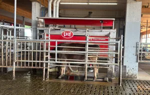 Ab November weiss der Lely-Roboter mehr, nämlich: Besamungen, Resultate von Trächtigkeitsuntersuchungen sowie die Resultate der theoretischen Tankmilch aus der Milchleistungsprüfung.