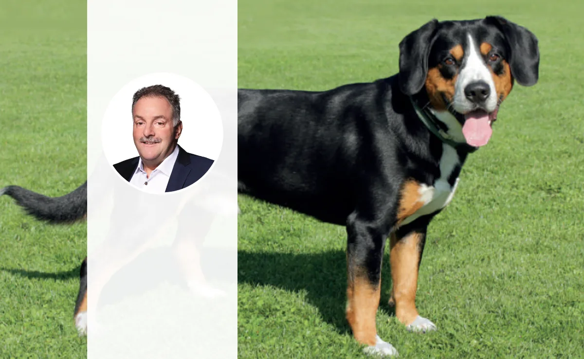 entlebucher-sennenhund-baertschi-alfred Das Porträt von Alfred Bärtschi steht im Vordergrund. Dahinter ist ein Entlebucher Sennenhund von der Seite zu sehen.