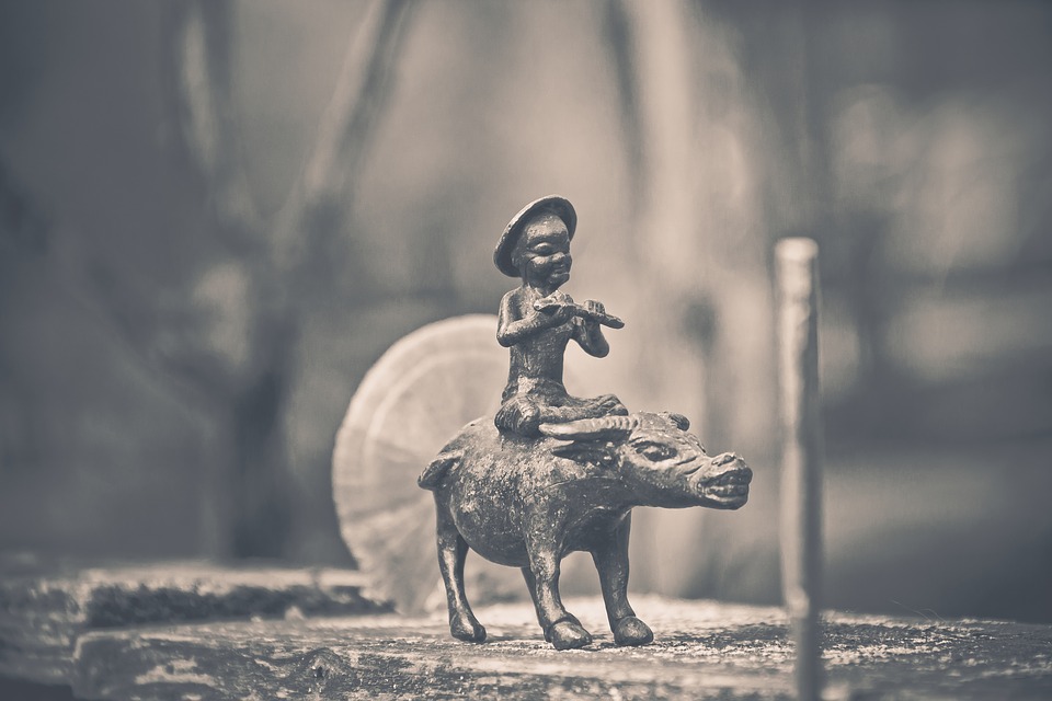 Schon seit Urzeiten reitet der Mensch auf Kühen und Ochsen. Noch heute ist das Bild eines Kuhreiters vielerorts ein alltäglicher Anblick. (Bild Pixabay)