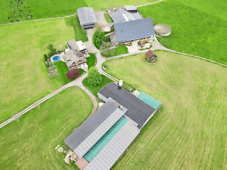 Die Dächer des Betriebs von Lukas Bucher in Rain sind mit PV-Anlagen ausgerüstet und leisten gesamthaft 620 kWp.