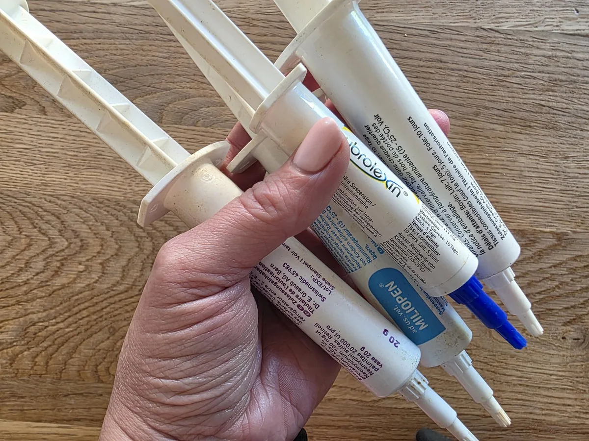 2026j06falk14_162817 Antibiotika im Euter: Hier hat die Schweiz noch Nachholbedarf