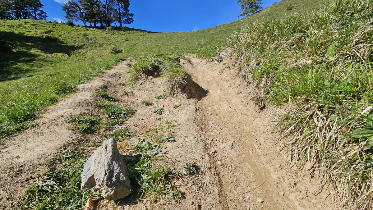 ZS_B_20_Nebenbild_3-spaltig Die Haftungsfrage ist für Bauern bei Mountainbike-Routen entscheidend