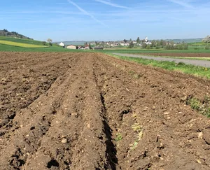 Lachgas entsteht vor allem in Böden, etwa wenn diese vernässt und verdichtet sind oder unsachgemäss mit Stickstoff gedüngt wurden.