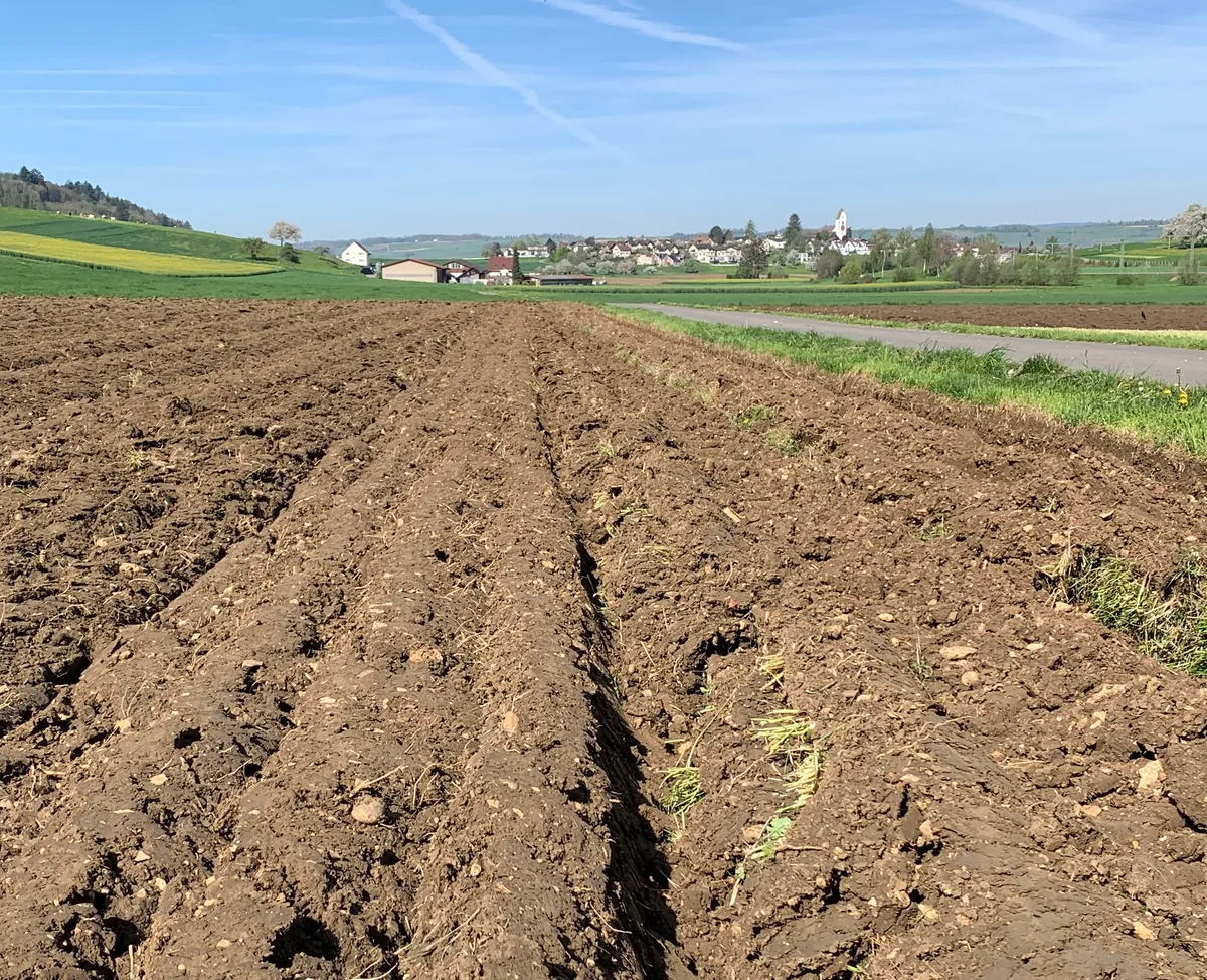Ackerkrume Lachgas entsteht vor allem in Böden, etwa wenn diese vernässt und verdichtet sind oder unsachgemäss mit Stickstoff gedüngt wurden.