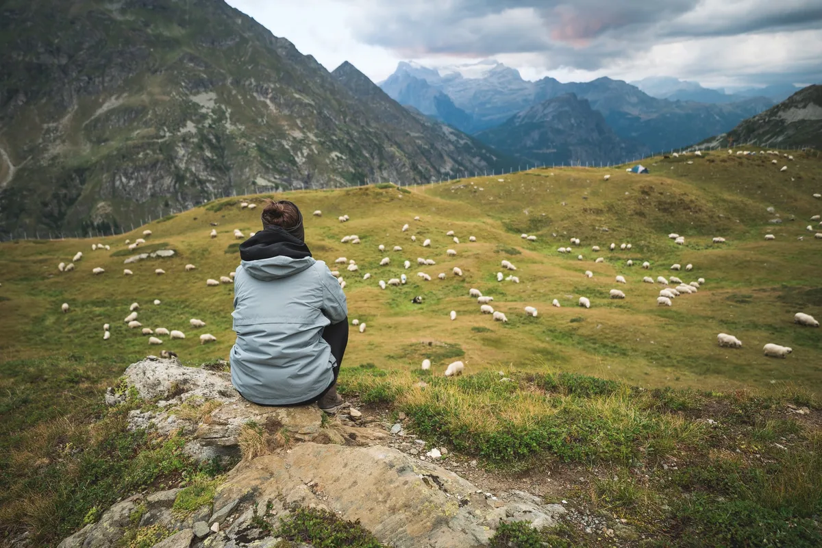 Personalmangel_Alp_Oppal Eine Frau sitzt erhöht auf einem Stein und beobachtet die Schafherde auf der Alpweide unter ihr.