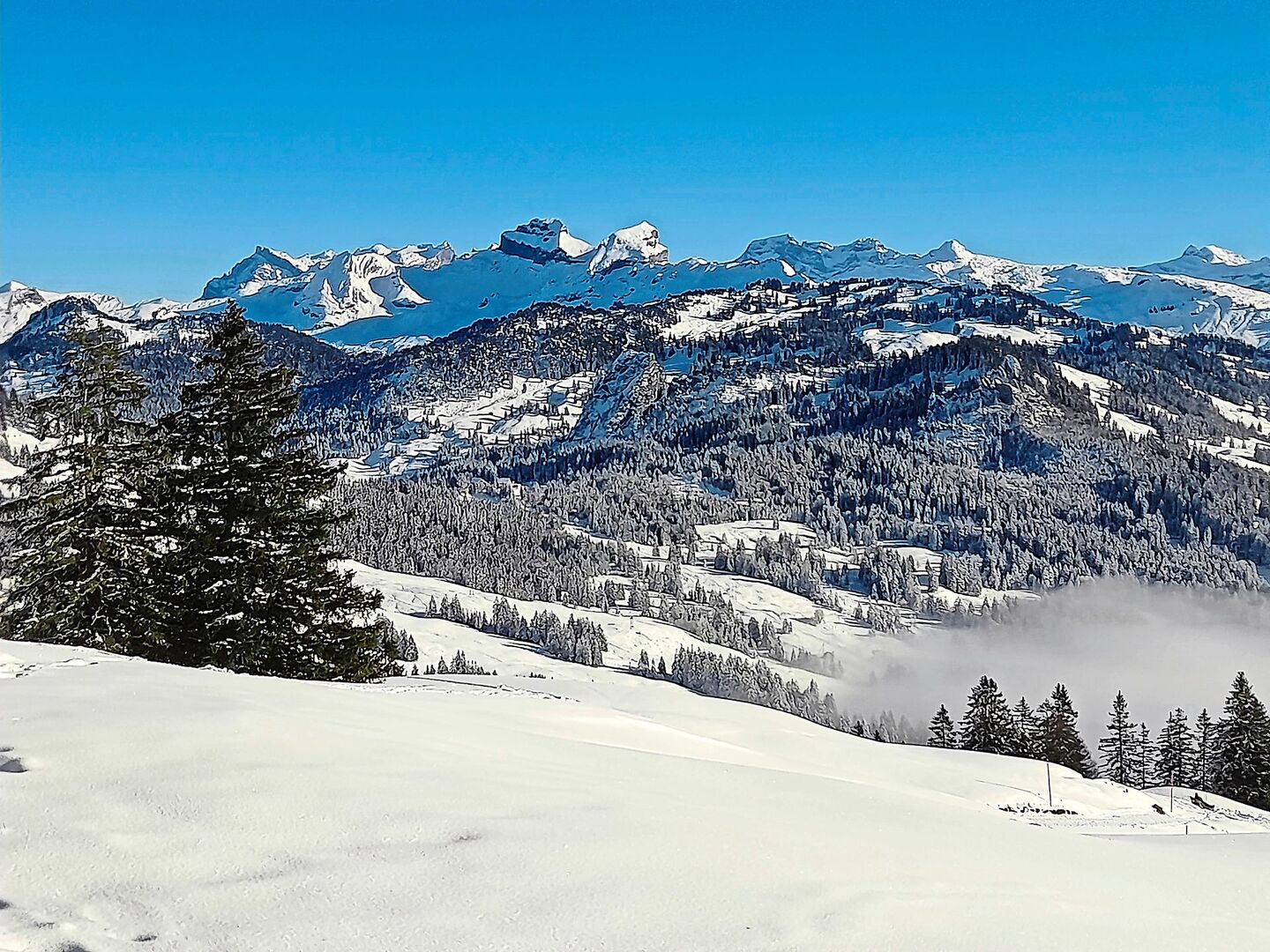 Nach sechs Jahren besucht Michèle Huber ihre Familie in der Schweiz. Ihre Tochter Gabriela sieht zum ersten Mal Schnee. Sie würde ihn am liebsten direkt mit nach Paraguay nehmen.