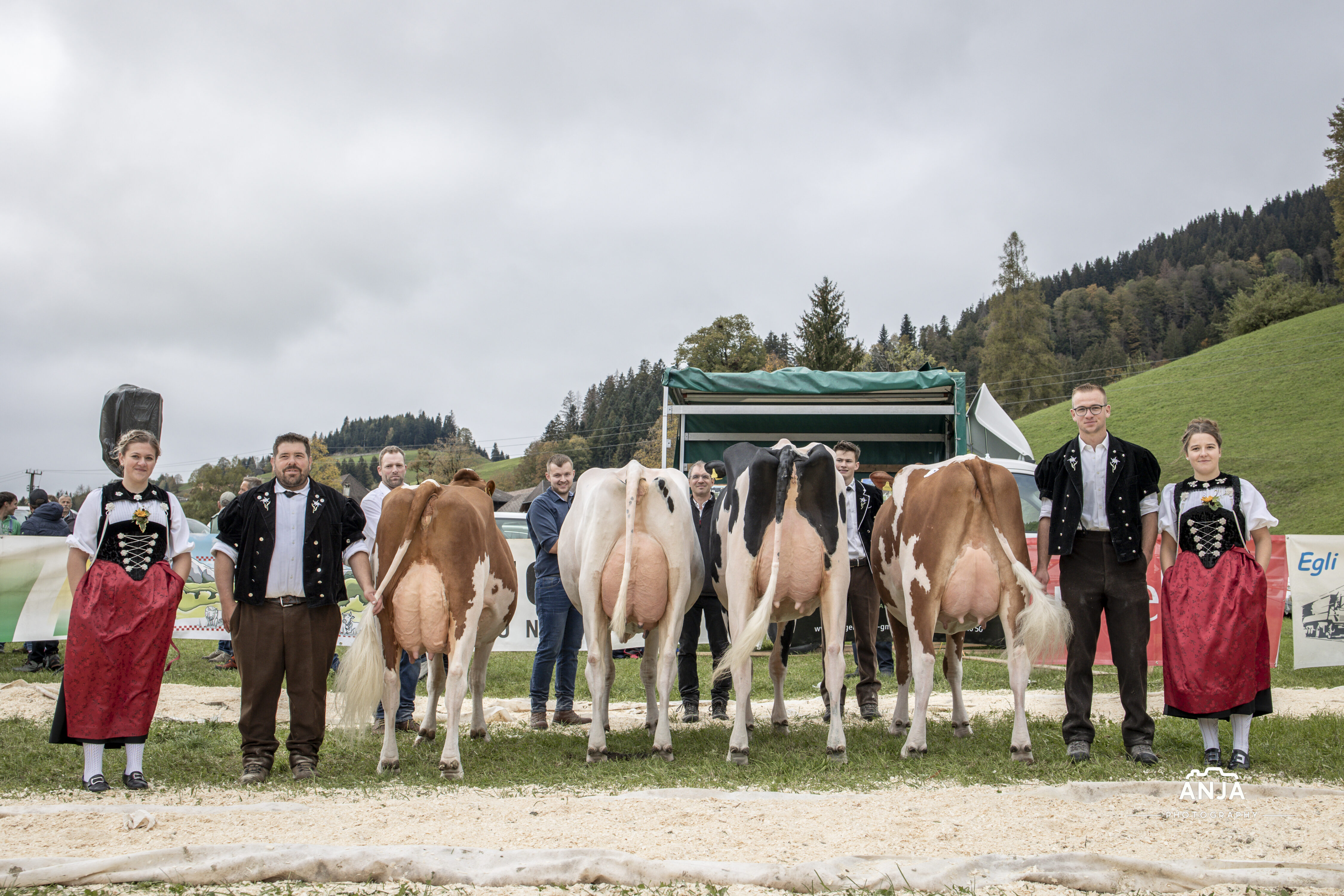 (V. l.): Reserve Miss: Knubelfarm Roxel Red Rose, Thomas Schenk; Miss: FanHol A2p2 Alaska, Ueli Fankhauser; Schöneuter: Unternaehrer Perennial Princess, Thomas Unternährer; Reserve-Schöneuter: Knubels Tommy Swanda P, Heinz Schenk.