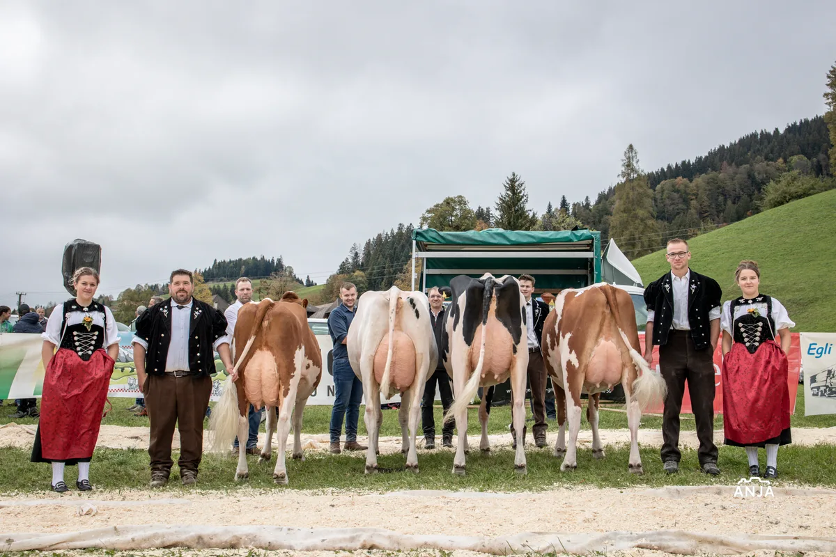 4N1A4869.jpg (V. l.): Reserve Miss: Knubelfarm Roxel Red Rose, Thomas Schenk; Miss: FanHol A2p2 Alaska, Ueli Fankhauser; Schöneuter: Unternaehrer Perennial Princess, Thomas Unternährer; Reserve-Schöneuter: Knubels Tommy Swanda P, Heinz Schenk.