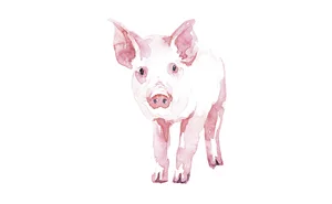 «Die Schweizer Schweinehalter erfüllen heute schon die höchsten Ansprüche an das Tierwohl», erklärt Stefan Müller, Geschäftsführer von Suisseporcs.