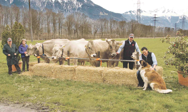 Ernst und Irene Guntli (links) posieren neben Stammkuh Carla. Ihr Sohn Andreas und seine Partnerin Ariane sind rechts auf dem Bild zu sehen. Alle sind sie  stolz auf Carla und ihre Nachkommen aus fünf Generationen. (Bild Heidy Beyeler)