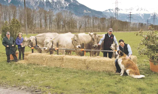 4eeafd06437a764b165d28e96e2b42a7b26489b0 Ernst und Irene Guntli (links) posieren neben Stammkuh Carla. Ihr Sohn Andreas und seine Partnerin Ariane sind rechts auf dem Bild zu sehen. Alle sind sie stolz auf Carla und ihre Nachkommen aus fünf Generationen. (Bild Heidy Beyeler)