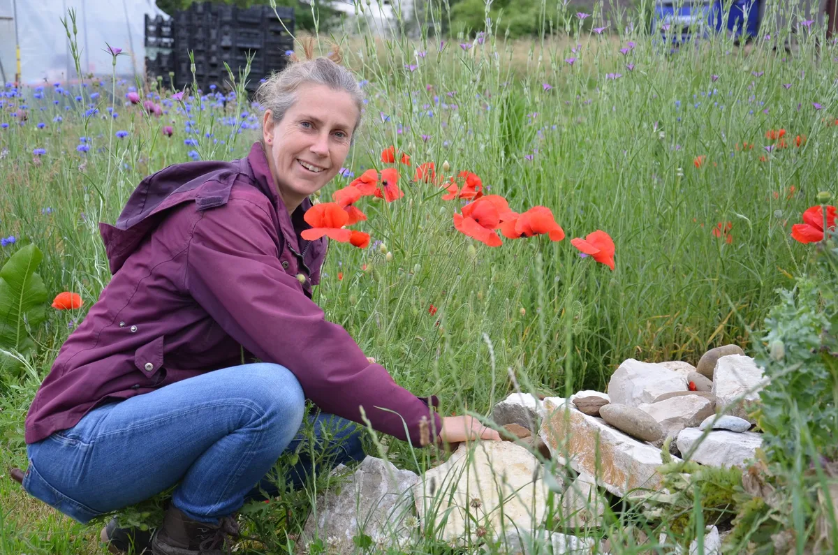 edf292aae9c243a06f3b1d99f82cbebcada61767 Bioloca Präsidentin Nora Winzeler ordnet einen Steinhaufen im Kräuterbeet. (Bild Marianne Stamm)