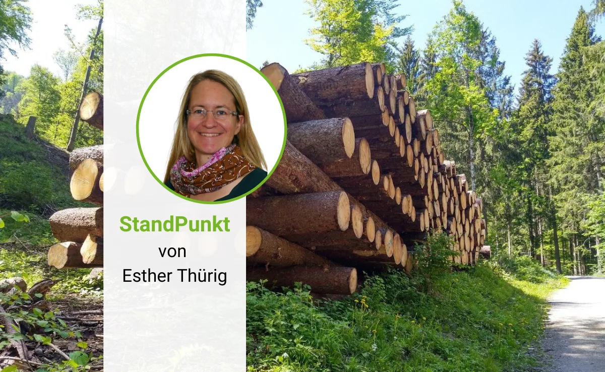 4 Standpunkt von Esther Thürig, WSL: Kaskadennutzung für den Wald