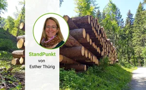 Esther Thürig ist Gruppenleiterin Ressourcenanalyse bei der Eidg. Forschungsanstalt für Wald, Schnee und Landschaft WSL.