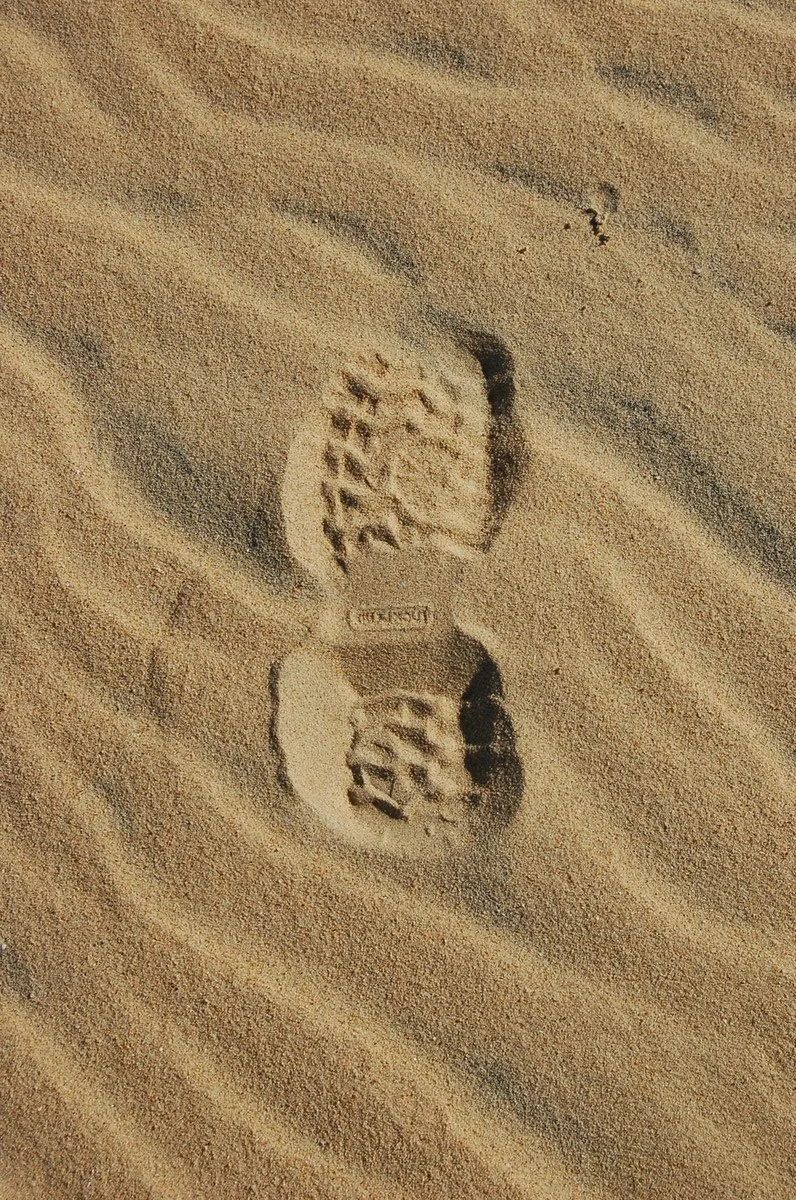3b541dec767c1c35954ee8ae081c0be2a0f7e80f Die Menschheit lebt heute so, als gäbe es etwa zwei Erden für uns. (Bild WWF)