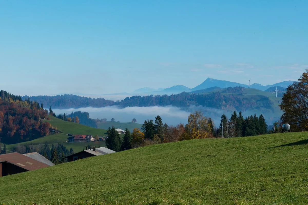 Welche Einflüsse prägen den Strukturwandel der Schweizer Landwirtschaft?