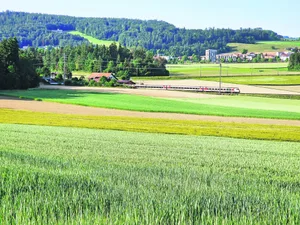 Die SBB wollen mit dem Projekt AS 25 Gümligen Süd einen Tunnel unter die bestehenden Gleise bauen und damit die Kapazität erhöhen. Die geplante Zufahrt zur künftigen Baustelle durch Kulturland und die Kommunikation mit Landwirten erzürnt jedoch die Gemüter.