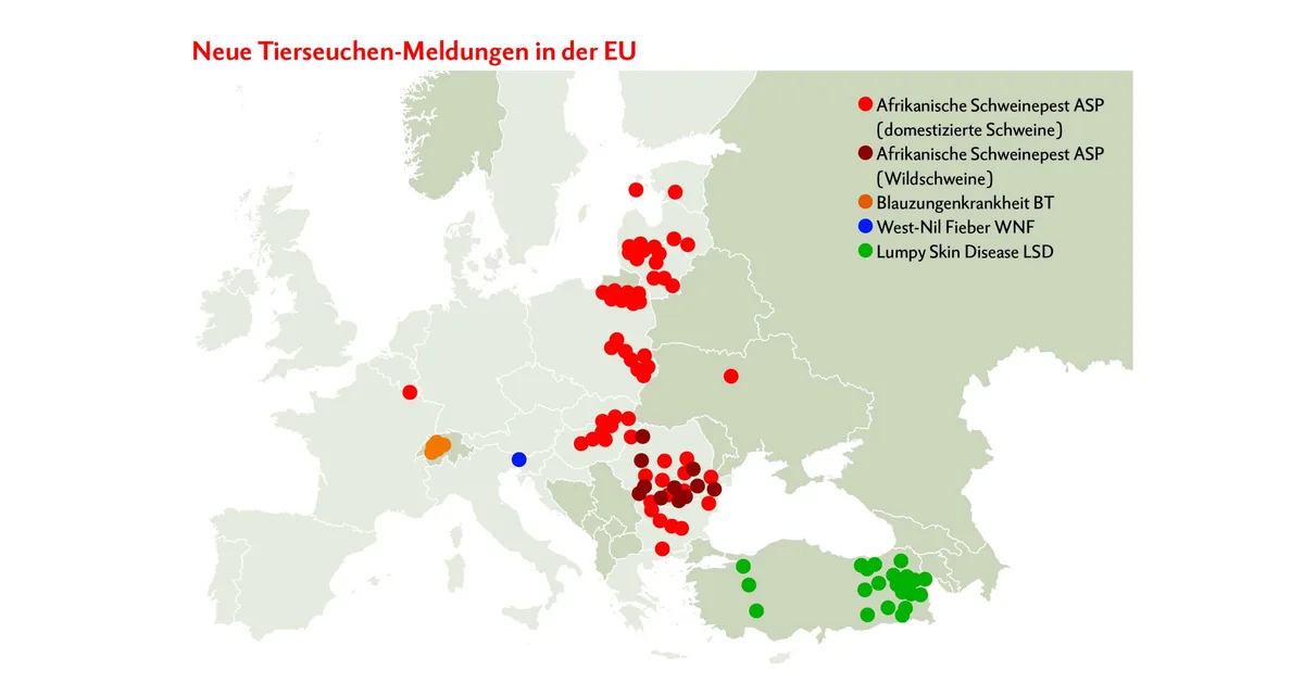 20ca1876cd03d52101754c54875bb296f0bc25bf Die abgebildete Europa-Karte zeigt die neusten Tierseuchen-Meldungen von 31.10. bis 6.11.2019, von denen die grössten Gefahren ausgehen. Grafik: Doris Rubin