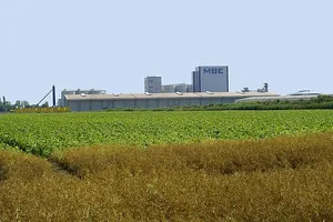 Laut UFOP sei die Biokraftstoffproduktion zumeist dort angesiedelt, wo es ohnehin Rohstoffüberschüsse gibt. (Bild © agrar-press)