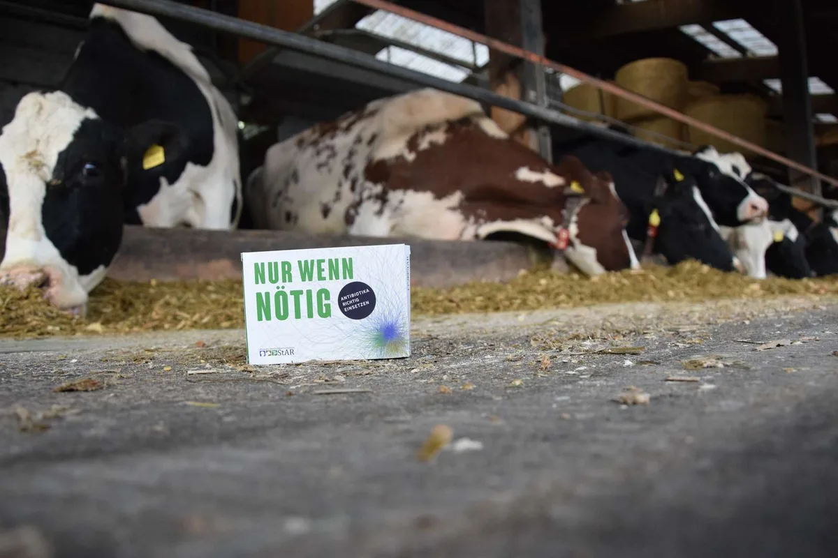 DSC_0009-1600px Letztes Jahr wurden in der Tiermedizin 6 Prozent weniger Antibiotika als 2019 verschrieben