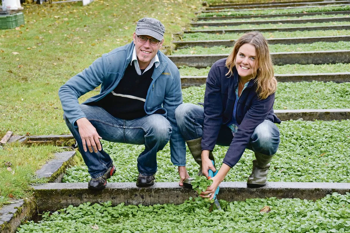 27fda6f1475c981bf04e9ff3880465d604addb70 Vor dem Zwist: Bettina Springer und Daniel Nussbaumer bei ihrer Präsentation als Betriebsleiter für die traditionsreiche Brunnenkresse-Produktion im Oberaargau im November 2018.(Bild Marcel Schmid)