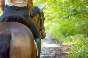 Das Pferd sei kein Kuschel-, sondern ein Arbeitstier und Sportpartner, wurde an der Tagung klar gestellt.
