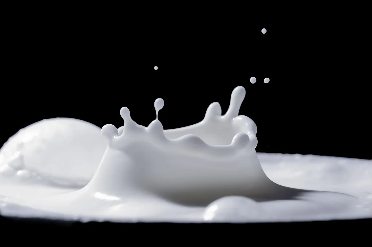 Elsa will sich zu 50 Prozent an der Aaremilch AG beteiligen
