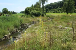 Beispiel einer Renaturierung ist die Bachöffnung am Hegibach ausgangs Amriswil, welche Pro Natura gemeinsam mit der Stadt Amriswil lancierte.