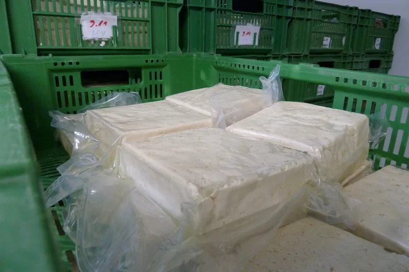 9d2debf220da01d908153c2c50ea1cd94ce12616 Frischer Tofu wartet im Kühlraum der Tofurei Engel in Widen AG darauf, etikettiert zu werden. Die getrockneten und gereinigten Sohabohnen werden in neun Schritten zum fertigen Tofu. (Bilder jsc)