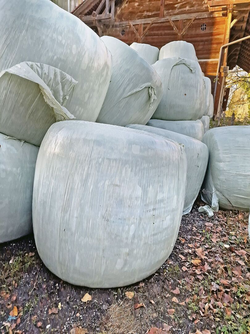 Die Novemberballen liegen am Haufen. Sie sollten aufgrund des hohen Proteingehalts an laktierende Kühe verfüttert werden.