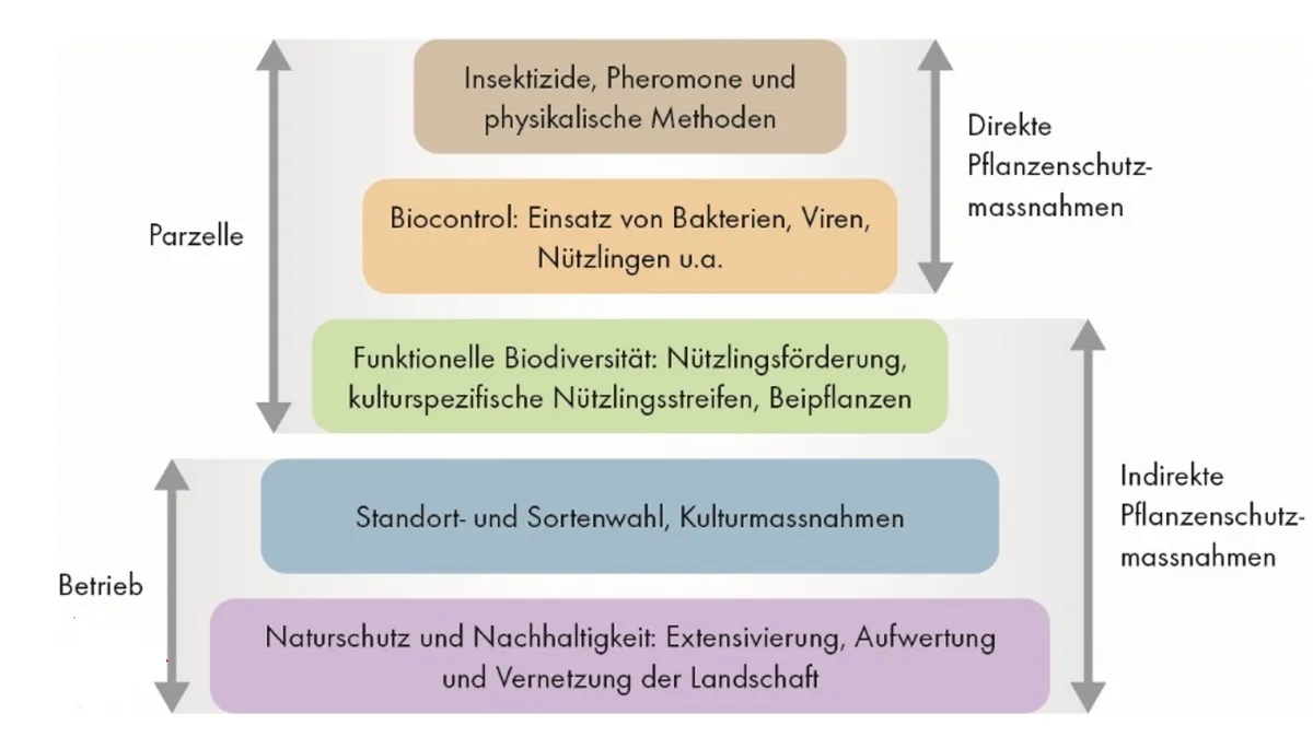 Die Bio-Pflanzenschutzstrategie des FiBL in Pyramidenform. (Grafik pd)