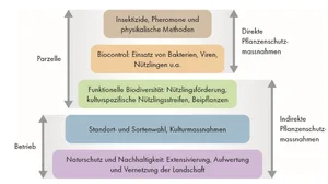 Die Bio-Pflanzenschutzstrategie des FiBL in Pyramidenform. (Grafik pd)
