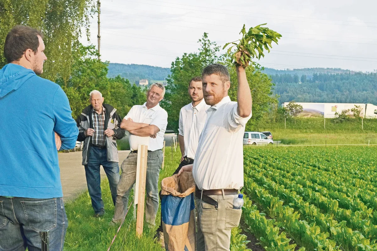 d19e9a65a6bf6a4c5ab98ad0239298b136f22ee8 Lucas Vogt machte darauf aufmerksam, dass Schosserrüben in der Folgekultur zwingend zu entfernen sind. (Bild Stefanie Giger)