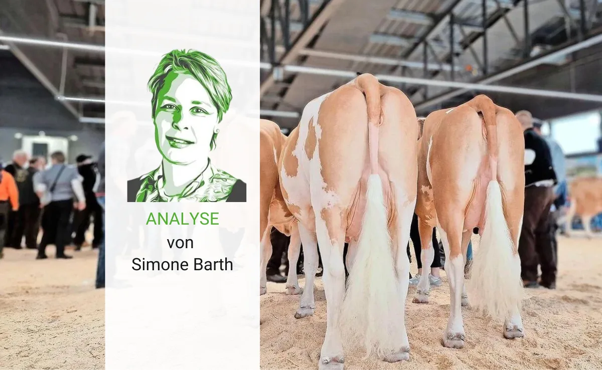 Artikel_Analyse_BauZ_BarthViehzucht Die Zucht reiner Rassen ist nicht nur ein technischer Prozess, sondern auch kulturelles Erbe