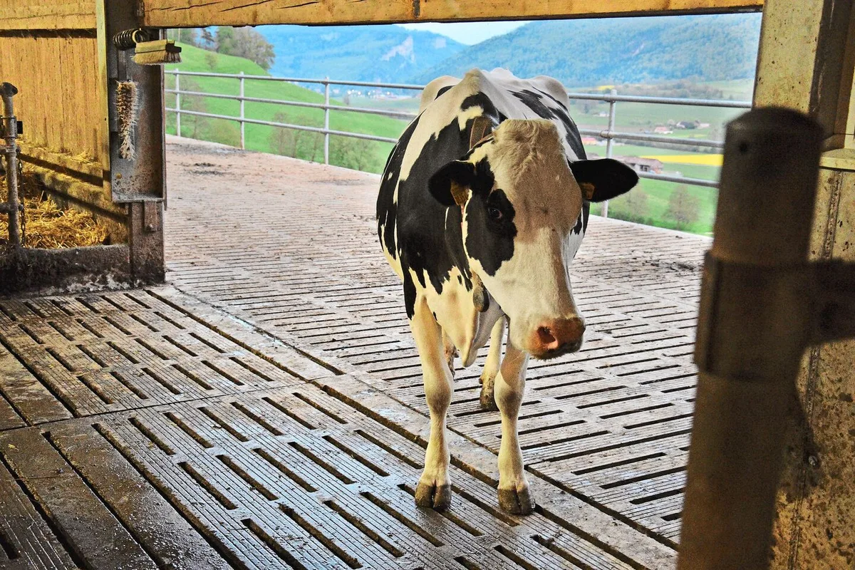«Milch ist Milch»: Produzierende kritisieren Segmentierung