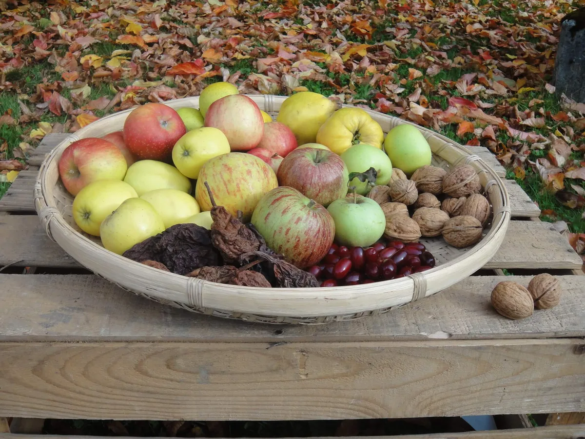3438139528844d0bf6fd2b5fd9c2ab06119ffaf8 Am Obstsortenmarkt gibt es neben eher unbekanntem Obst auch diverse fruchtige Produkte zu kaufen. (Bild Botanischer Garten Zürich)