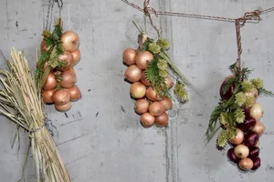 Zwiebelzöpfe sind eine kreative Art, Zwiebeln zu überwintern. (Bilder Esther Thalmann)