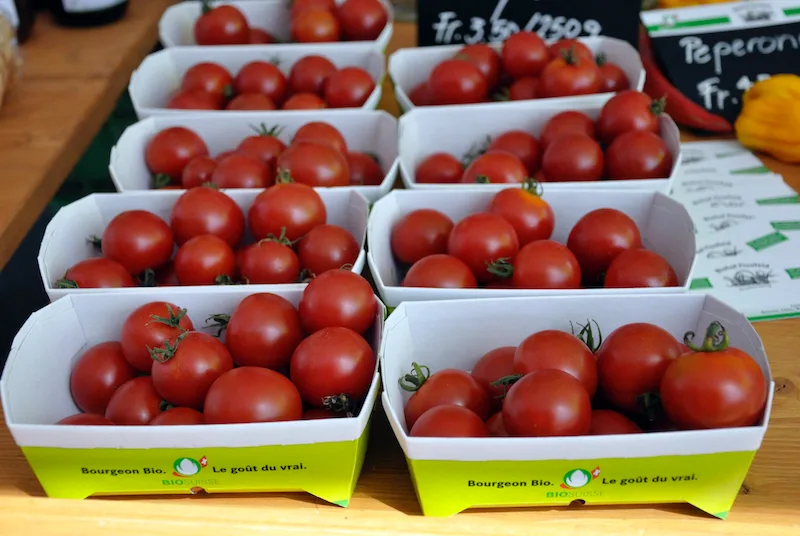 4e2c2d3eff79d4ea0684187f99ec015a49daa4f9 Auf rund einem Viertel der Bioflächen wird im Kanton Thurgau Gemüse angebaut. (Symbolbild BauZ)