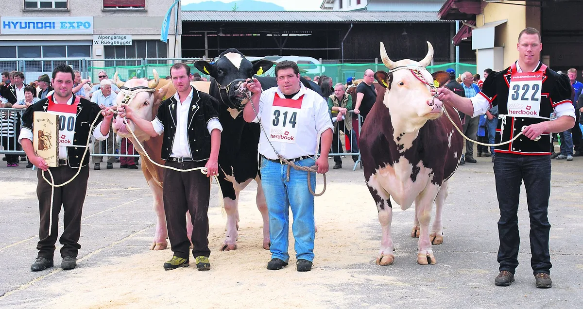 bc83969314366bb92ecfc0804348d470a5ff87fc Schwingerkönig Matthias Sempach (rechts) musste Abschied von seinem geliebten Siegermuni nehmen. Nach einem Zwischenfall, bei dem eine Person verletzt wurde, gehe nun die Sicherheit vor, sagte er.. (Archivbild Peter Fankhauser)