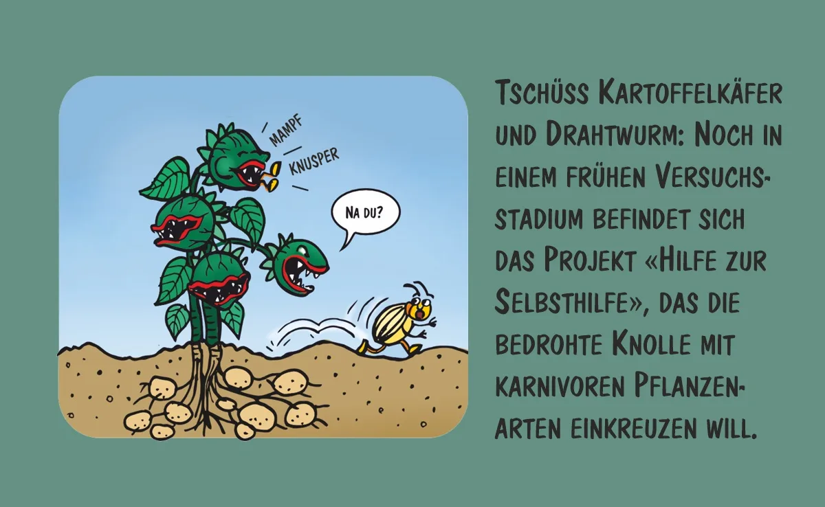 02_November Cartoon von Marco Ratschiller/Karma: Wege aus der Kartoffelkrise