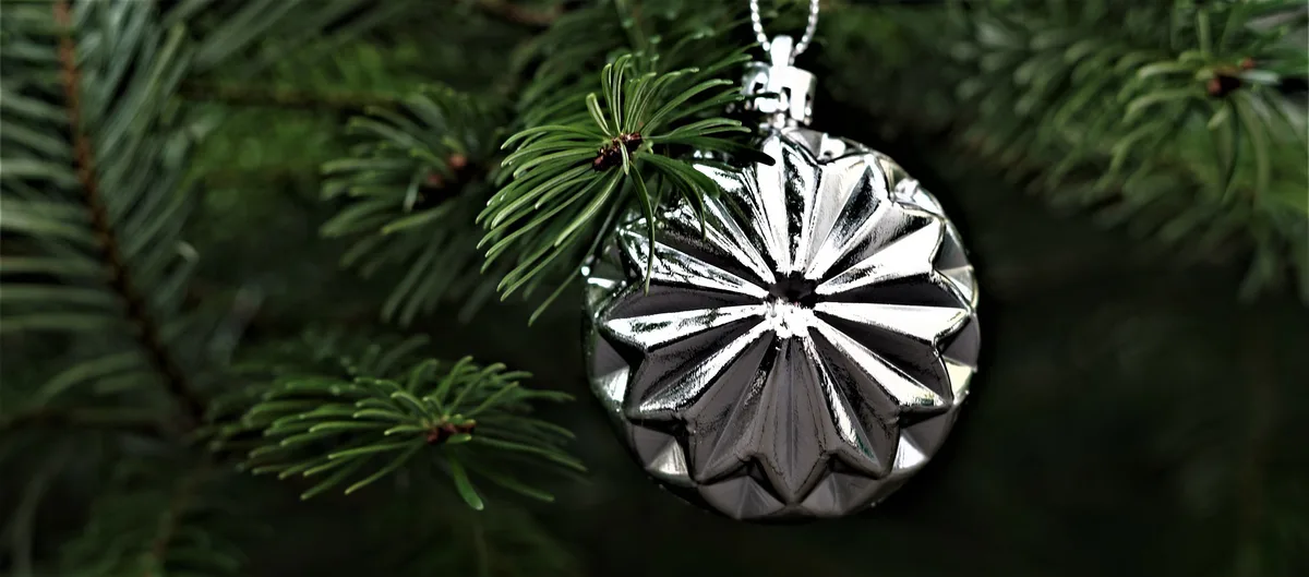 tannenbaum-pixabay-lja Christbäume aus der Schweiz werden immer beliebter