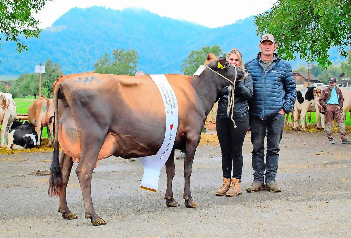 8fb42101f15a60353e7c283c178a58f6c3917d2ecc3a465087e4cdc9cd1c0067 Jane von Jasmin und Christof Küchler, Kägiswil, war die schönste Jersey-Kuh in Giswil.