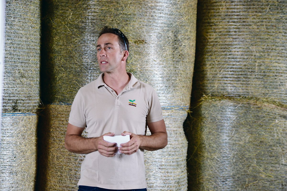 Swiss No-Till-Präsident Reto Minder eröffnete die Flurbegehung in Gampelen BE.