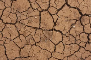 In den letzten Jahren wurde der Sommer gefühlt immer heisser und trockener. Dies bestätigen nun auch die Messergebnisse.