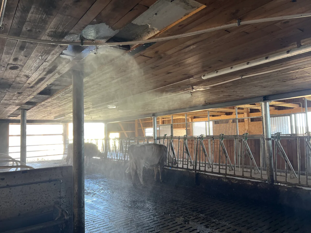 Künstlicher Nieselregen: Der Einsatz von Wasser im Stall funktioniert nur dann, wenn die feuchte Luft wieder aus dem Stall geleitet wird.