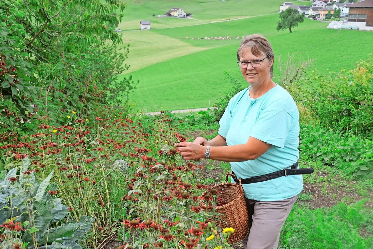 d71ff3296856025c4021ce4e089b6c27978f4cdde31446a2318908cd5e24e611 Silvia Bucher pflückt Goldmelisse, die sie später verarbeiten wird. Buchers Hof Burg liegt unweit des Dorfes Doppleschwand.